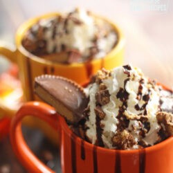 Dip mug rims in peanut butter and then into Reese's pieces. In a medium sauce pan over medium heat, combine milk, cocoa powder, sugar, salt and peanut butter. Whisk until peanut butter is melted and sugar is dissolved. Divide into two mugs. Top with whipped cream, a chocolate drizzle, and one half a Reese's cup.